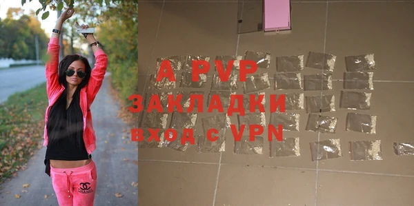 крисы Алексин