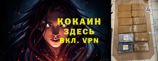 гашик Наволоки