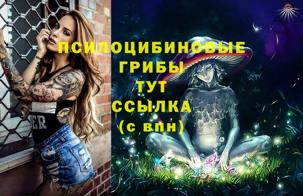 крисы Алексин