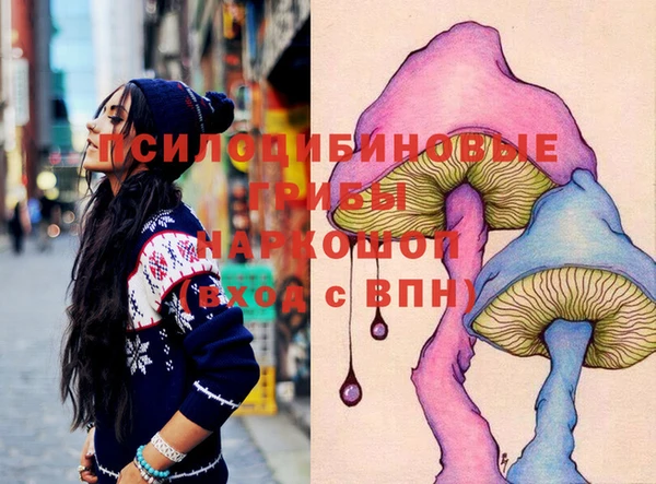 крисы Алексин