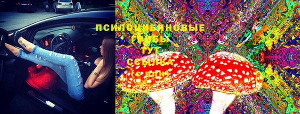 гашик Наволоки
