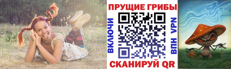 наркотики  Новая Ладога  omg зеркало  Галлюциногенные грибы мухоморы 