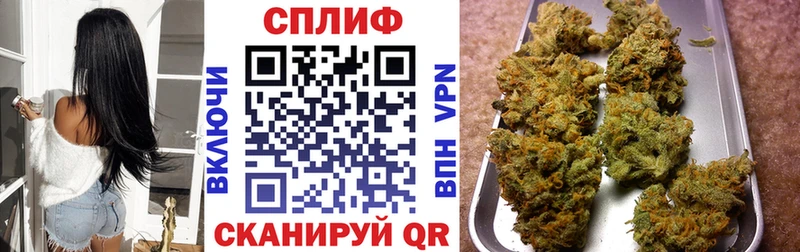 Шишки марихуана гибрид  купить наркотики цена  Новая Ладога 